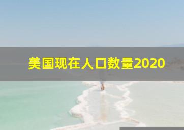 美国现在人口数量2020