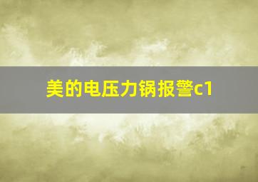 美的电压力锅报警c1