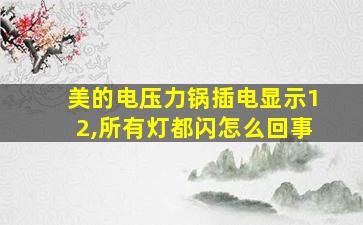 美的电压力锅插电显示12,所有灯都闪怎么回事