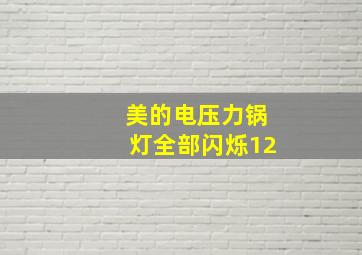 美的电压力锅灯全部闪烁12