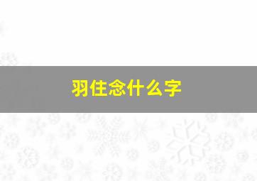 羽住念什么字