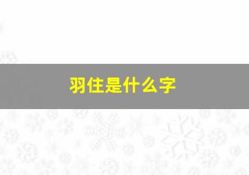 羽住是什么字