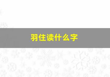 羽住读什么字