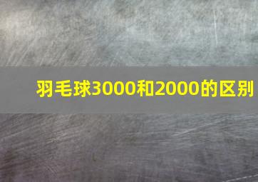 羽毛球3000和2000的区别