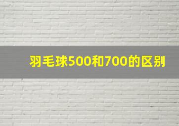 羽毛球500和700的区别