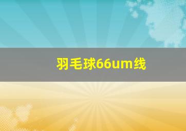 羽毛球66um线