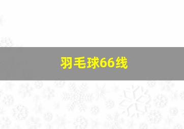 羽毛球66线