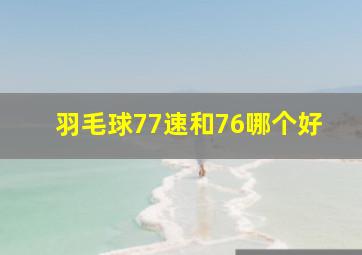 羽毛球77速和76哪个好