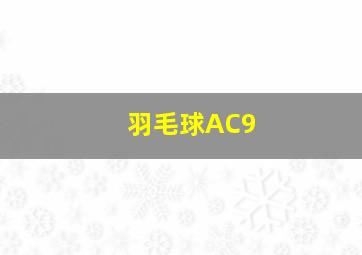 羽毛球AC9