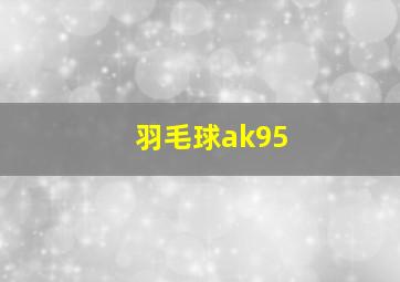 羽毛球ak95