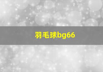 羽毛球bg66