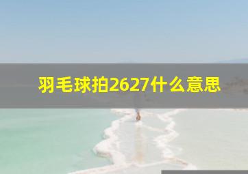 羽毛球拍2627什么意思