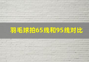 羽毛球拍65线和95线对比