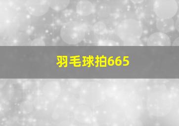 羽毛球拍665