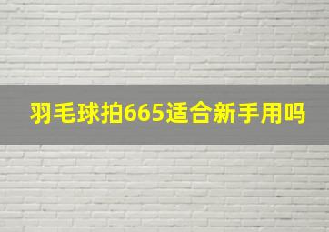 羽毛球拍665适合新手用吗