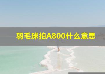 羽毛球拍A800什么意思