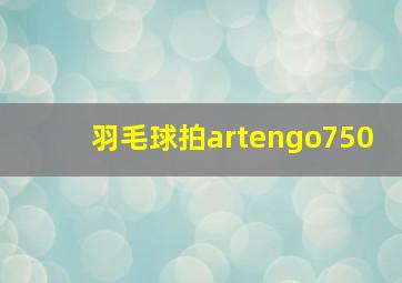 羽毛球拍artengo750