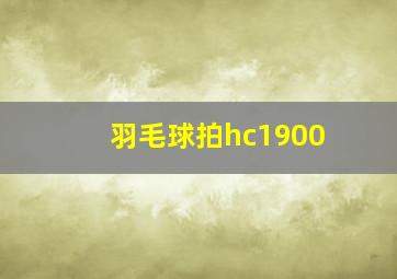 羽毛球拍hc1900