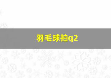 羽毛球拍q2