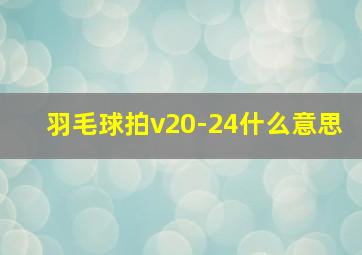 羽毛球拍v20-24什么意思