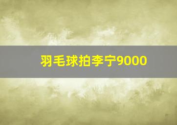 羽毛球拍李宁9000