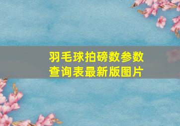 羽毛球拍磅数参数查询表最新版图片