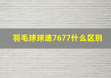 羽毛球球速7677什么区别