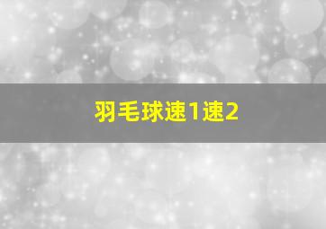 羽毛球速1速2