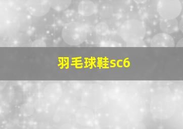 羽毛球鞋sc6