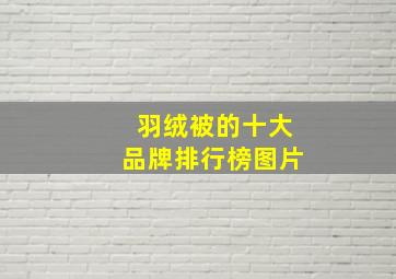 羽绒被的十大品牌排行榜图片