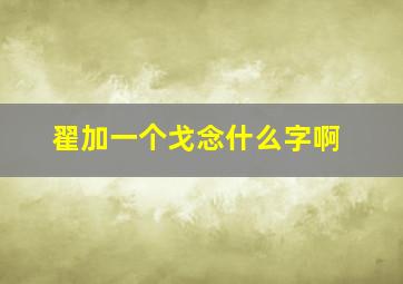 翟加一个戈念什么字啊