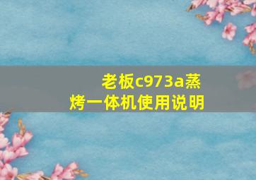 老板c973a蒸烤一体机使用说明