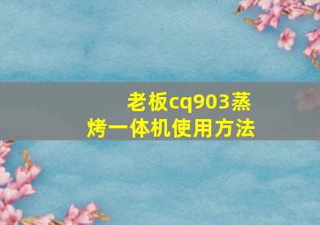 老板cq903蒸烤一体机使用方法