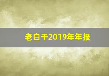 老白干2019年年报