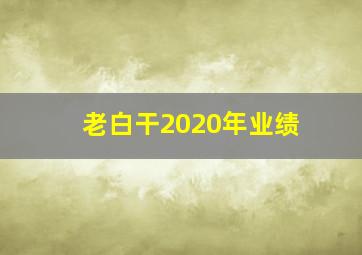 老白干2020年业绩