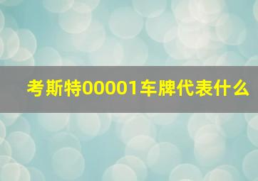 考斯特00001车牌代表什么