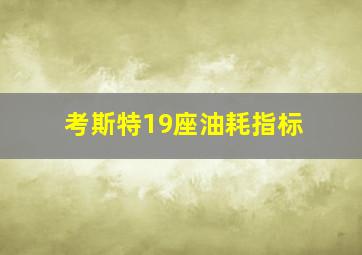 考斯特19座油耗指标