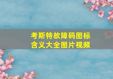 考斯特故障码图标含义大全图片视频