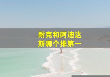 耐克和阿迪达斯哪个排第一