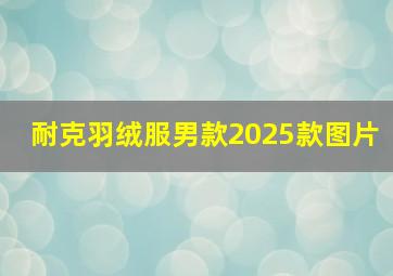 耐克羽绒服男款2025款图片