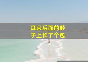 耳朵后面的脖子上长了个包