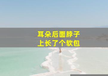 耳朵后面脖子上长了个软包