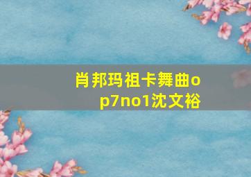 肖邦玛祖卡舞曲op7no1沈文裕