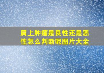 肩上肿瘤是良性还是恶性怎么判断呢图片大全