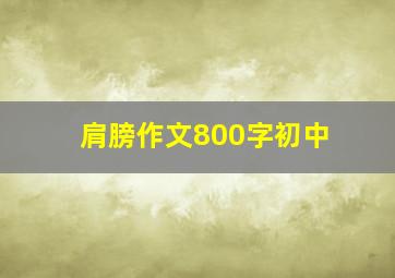 肩膀作文800字初中