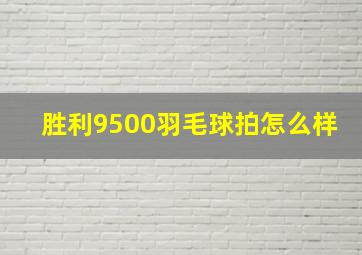 胜利9500羽毛球拍怎么样