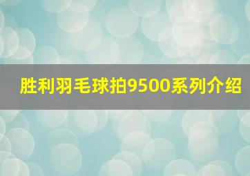 胜利羽毛球拍9500系列介绍