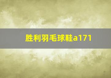 胜利羽毛球鞋a171