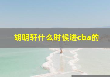 胡明轩什么时候进cba的