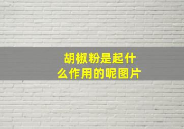 胡椒粉是起什么作用的呢图片